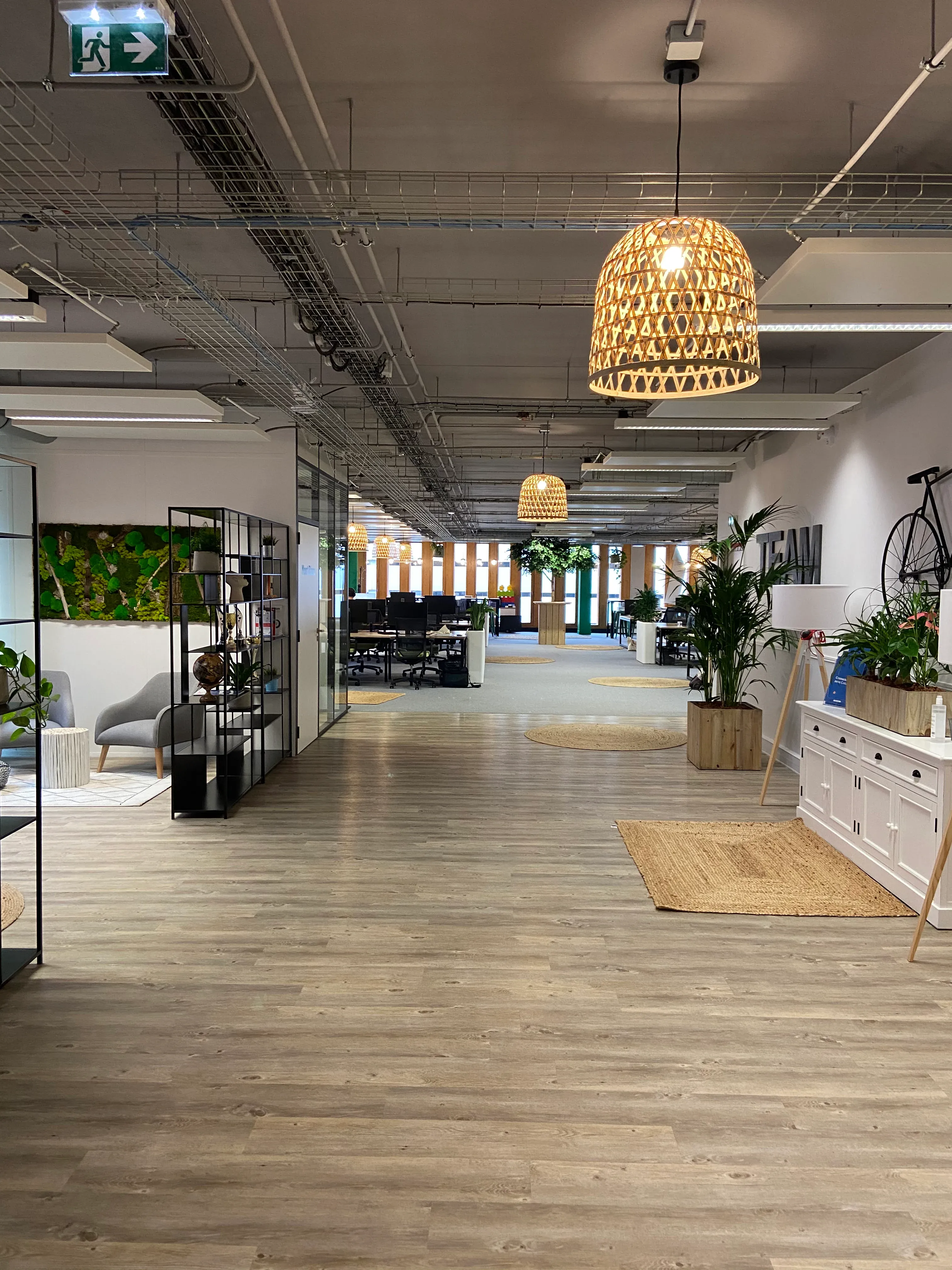 Open space chaleureux aménagé par Studio Wano chez Goodays : suspension en rotin, bois clair et végétation
