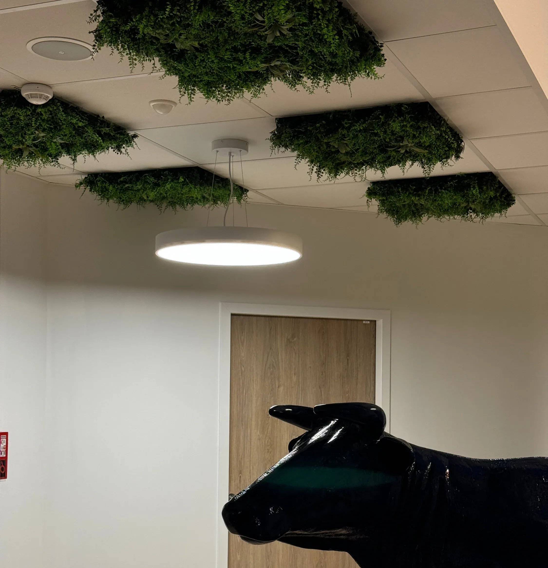 Bureaux de Contact FM, vue 6